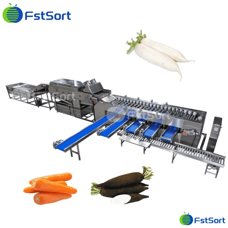 images/1692346350667Beetroot Sorting Machine.png